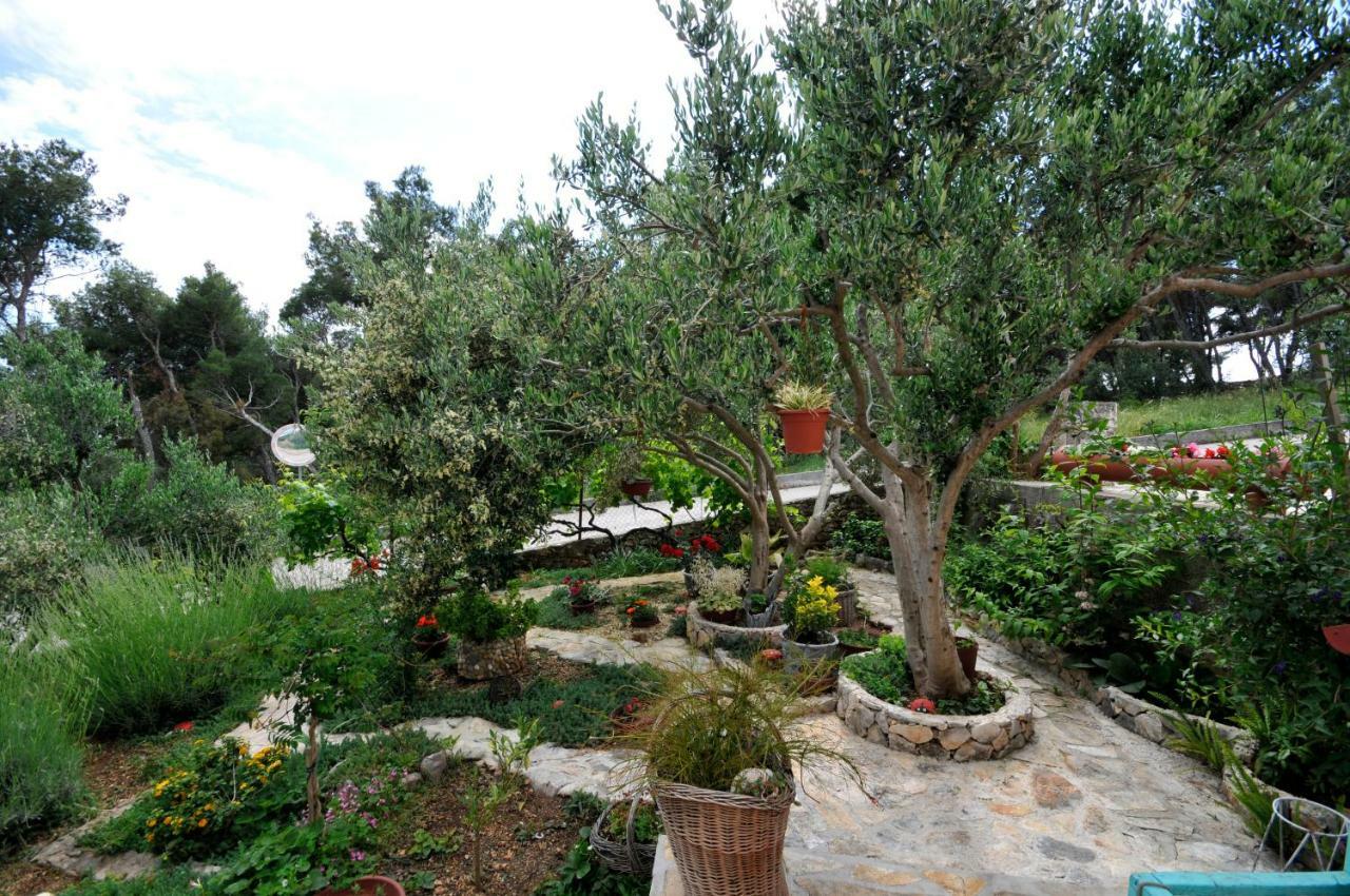 Apartman Sandra *